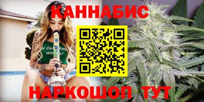 мдпв Гагарин