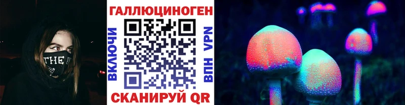 где найти Чита MEGA ссылки Псилоцибиновые грибы прущие грибы